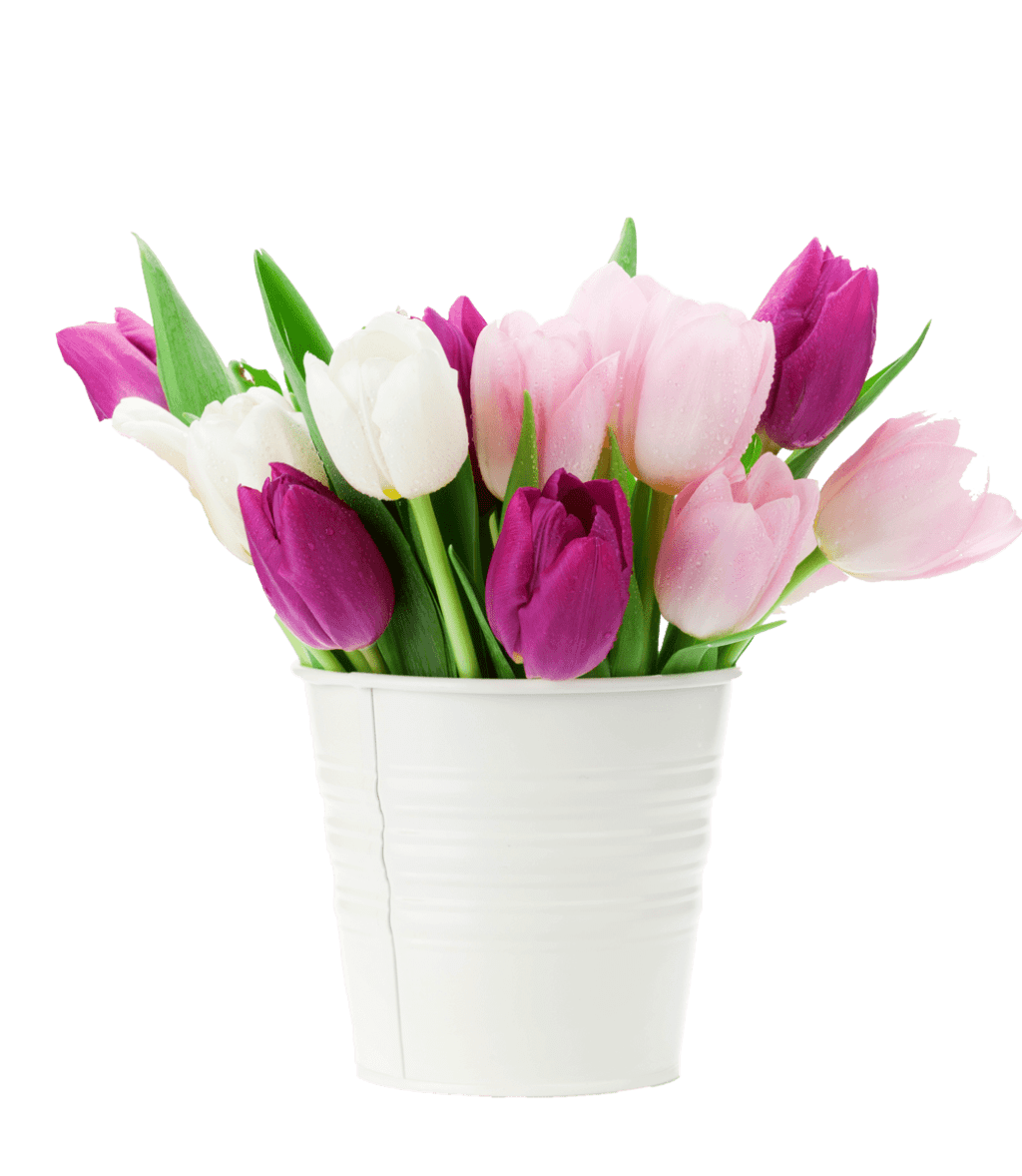 _shop-flower_wp-content_uploads_sites_158_2020_03_colorful-tulips-bouquet-NFESY4P-copy-1-1024x1178